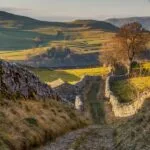 Yorkshire Dales landscape with limestone dry stone wales and an unpaved track