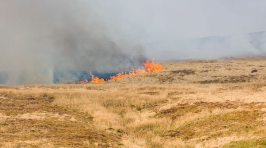 smoke rising from a grass fire burning uncontrolled on a Pennine moor
