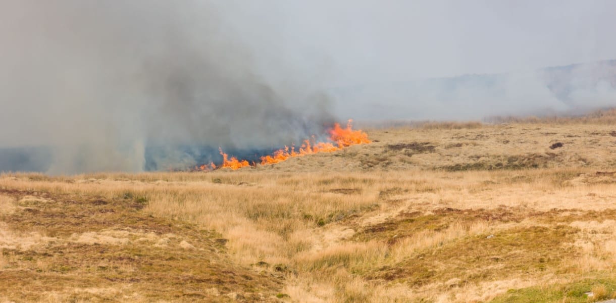 smoke rising from a grass fire burning uncontrolled on a Pennine moor