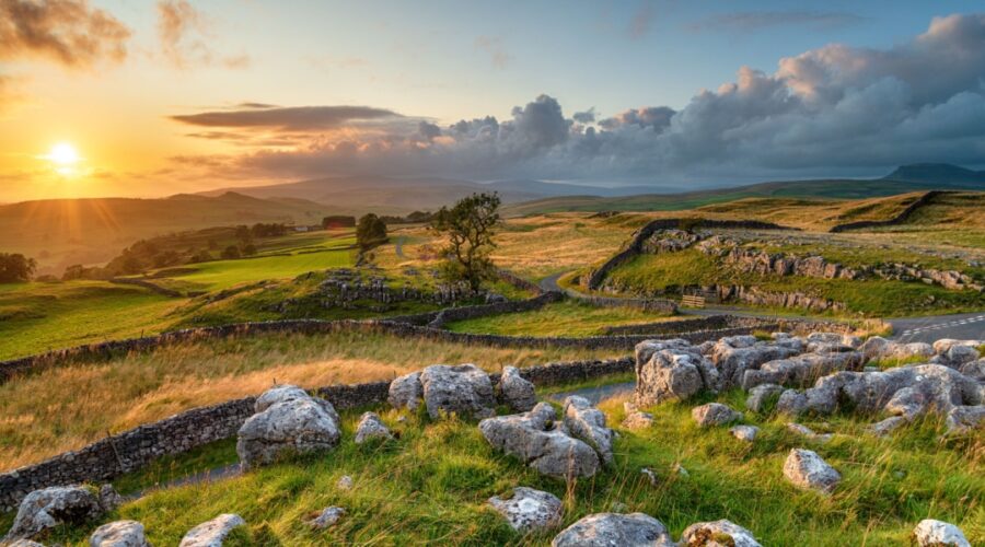 Sunset over the rolling hills and dry-stone walls of the Yorkshire Dales, with rocky foreground, winding dry stone walls, and a golden sky casting warm light across the landscape