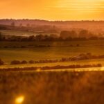 Sunset over the Lincolnshire Wolds, with golden light bathing gently rolling hills, patchwork fields, and scattered trees. Layers of hedgerows and farmland stretch into the hazy distance under a glowing orange sky.