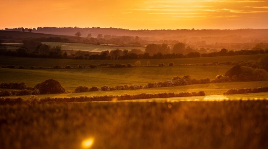 Sunset over the Lincolnshire Wolds, with golden light bathing gently rolling hills, patchwork fields, and scattered trees. Layers of hedgerows and farmland stretch into the hazy distance under a glowing orange sky.