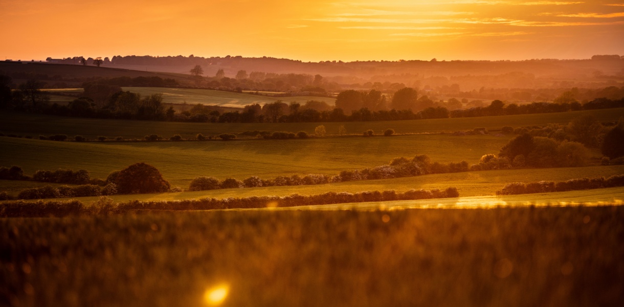 Sunset over the Lincolnshire Wolds, with golden light bathing gently rolling hills, patchwork fields, and scattered trees. Layers of hedgerows and farmland stretch into the hazy distance under a glowing orange sky.