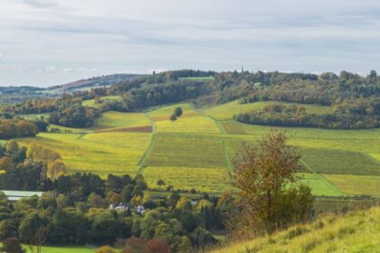 Rolling green hills of the North Downs in Surrey with patchwork fields, scattered autumn trees, and a small village nestled among the countryside under a soft, cloudy sky