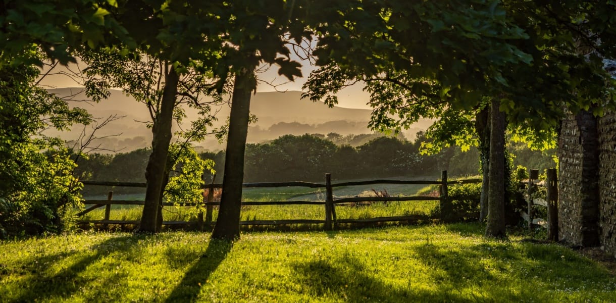 Sunlit spring view in the South Downs, with trees casting long shadows across bright green grass, a rustic wooden fence, and soft rolling hills fading into a hazy golden distance.