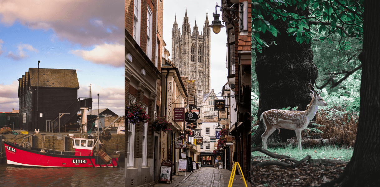Three-panel collage showing easy escapes from London, with a fishing boat and harbour scene on the left, a historic street leading to Canterbury Cathedral in the centre, and a deer standing in a wooded landscape on the right.