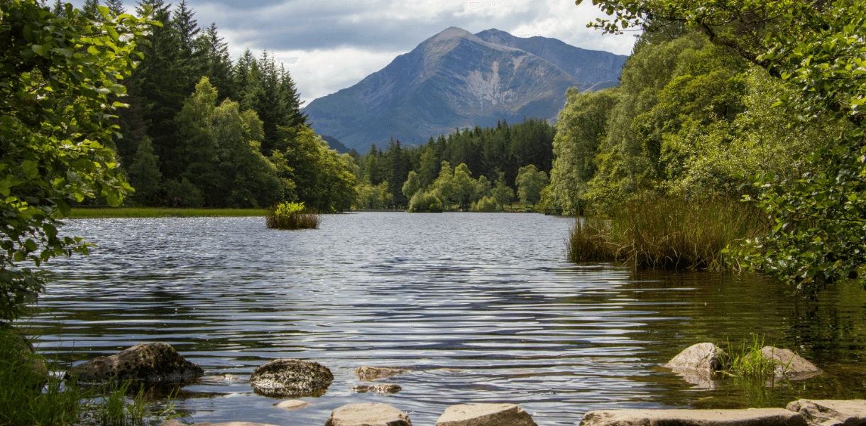 Lochan in Glencoe surrounded by forest, reeds and rocks, with a dramatic Highland mountain rising in the background beneath a cloudy sky.